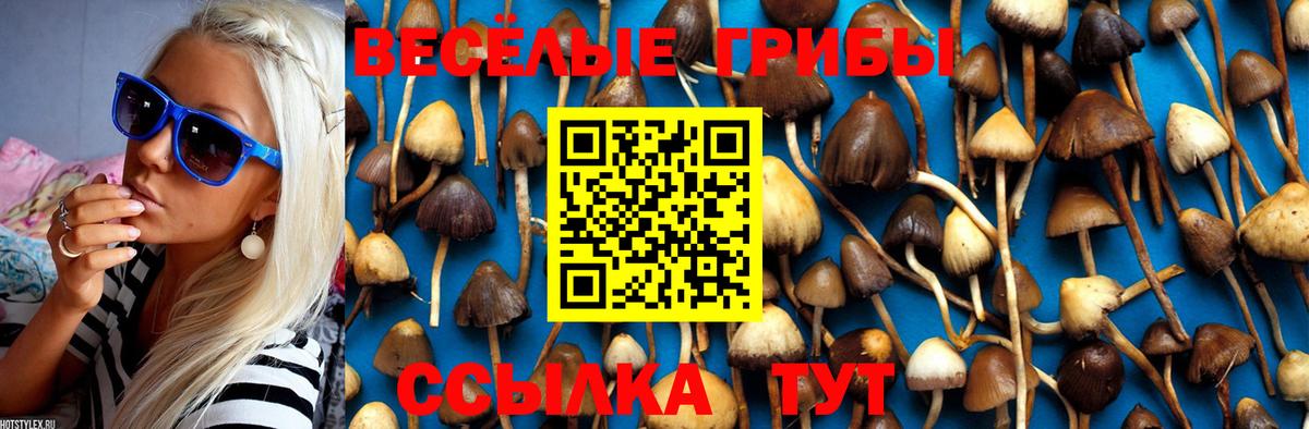 Новокуйбышевск  Галлюциногенные грибы GOLDEN TEACHER  Вход с VPN  Псилоцибиновые грибы Magic Shrooms 